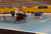 10. dubna 2026 - ČEPS cup florbal rep. kolo 1. st._10